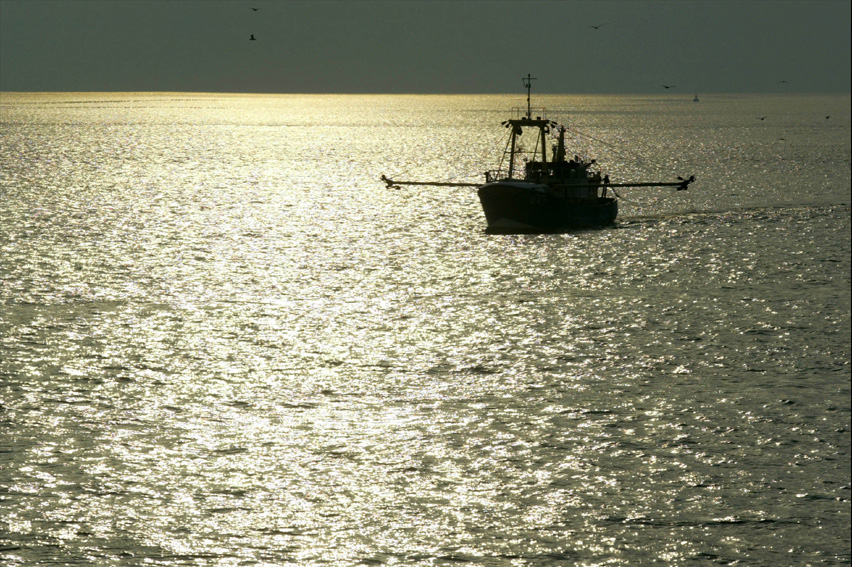 Pesca